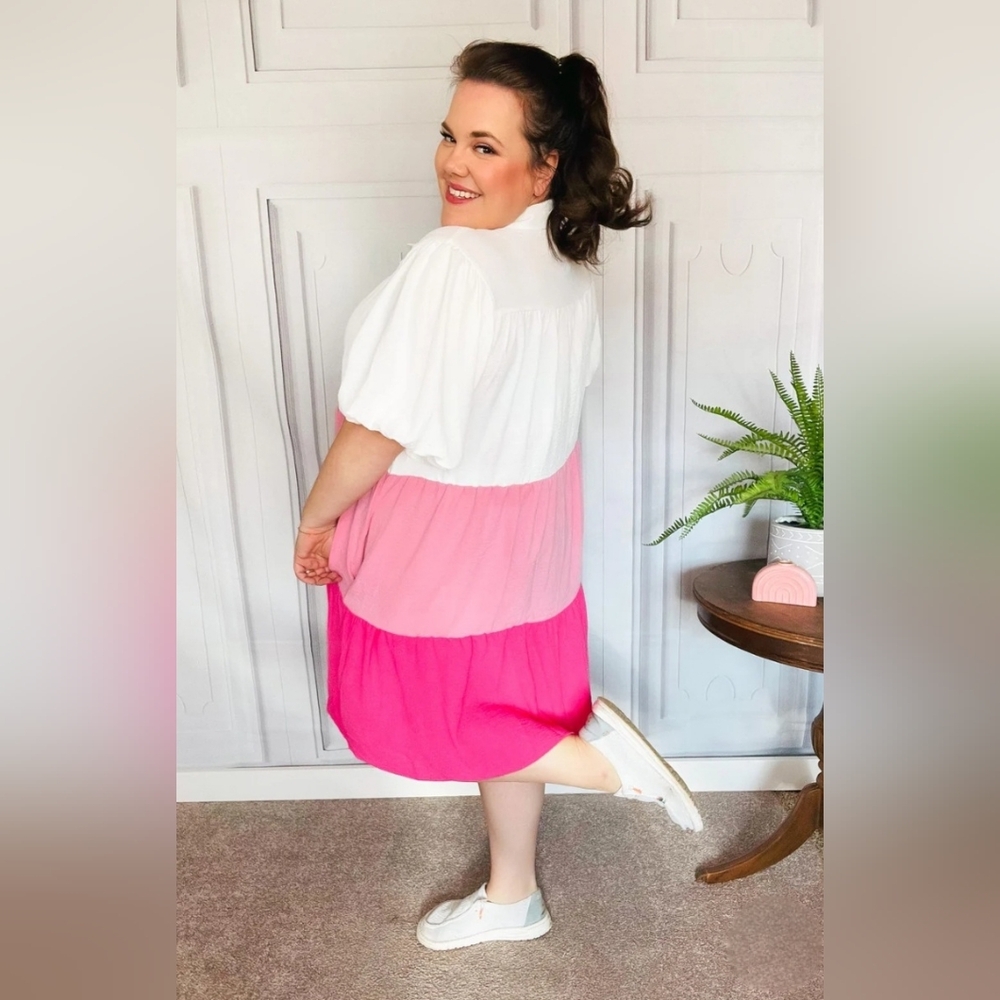Color Block Buttoned Down Dress - Picture 3 of 3
